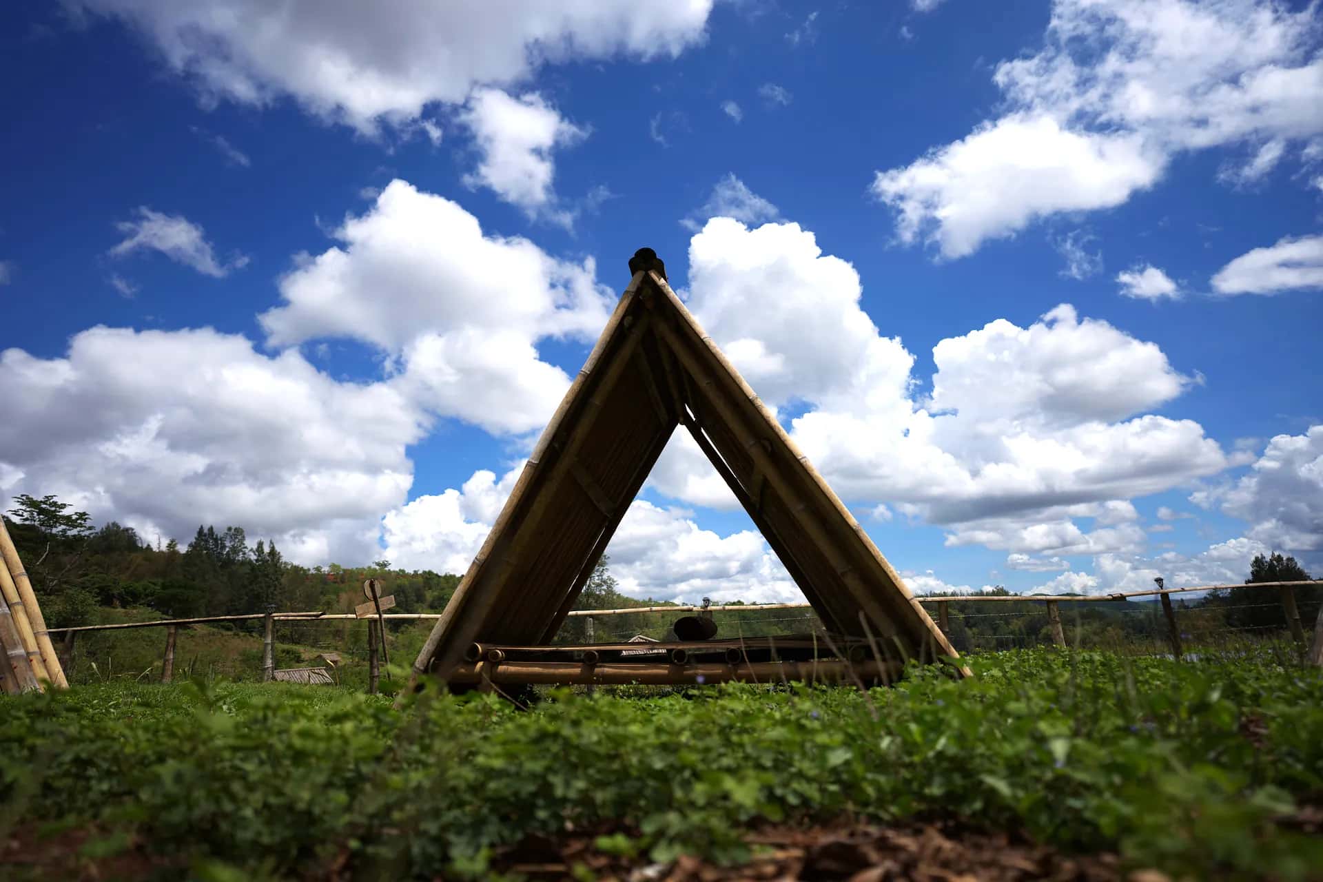 Bamboo A-frame shelters at Daisoli