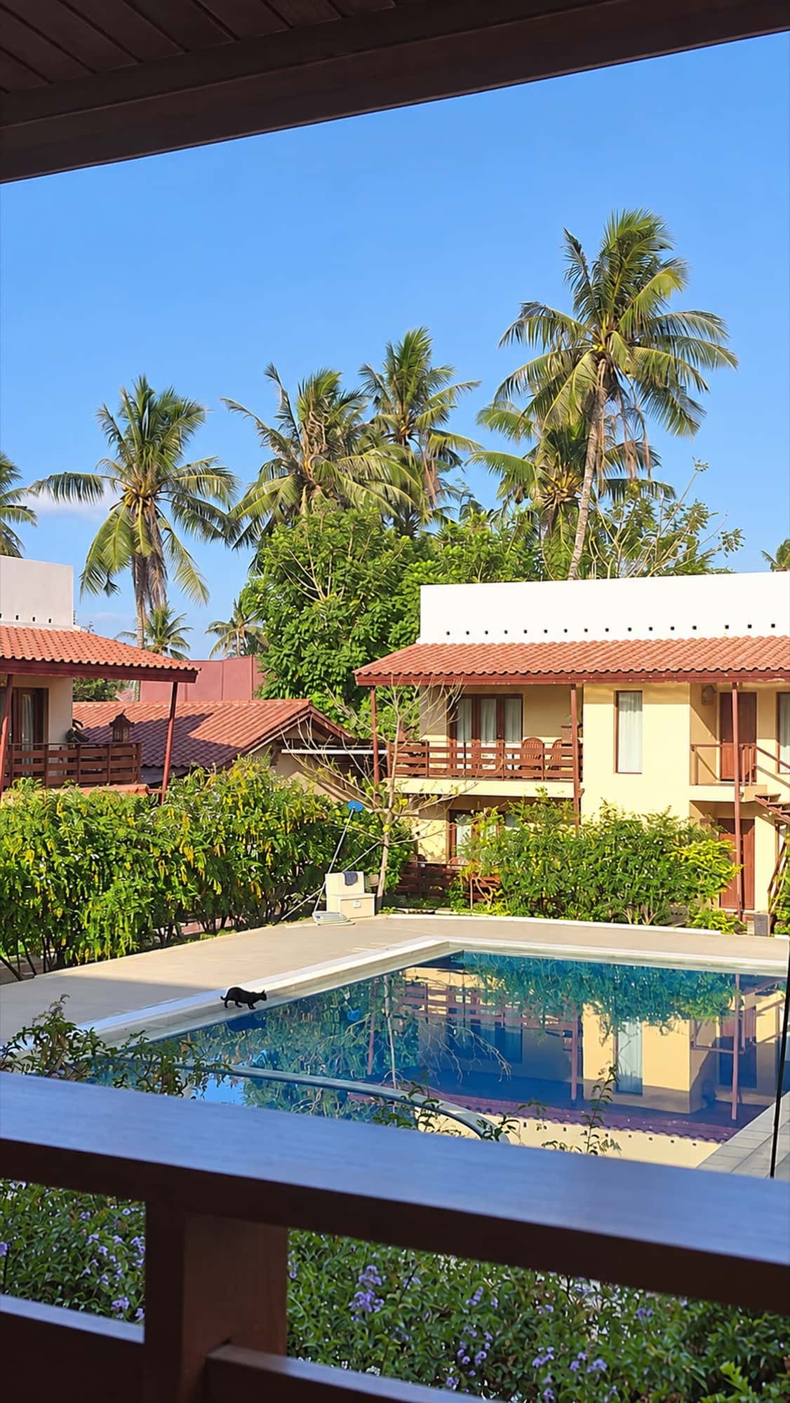 Arbiru Beach Resort, Resort in Dili, photo 4 of 32