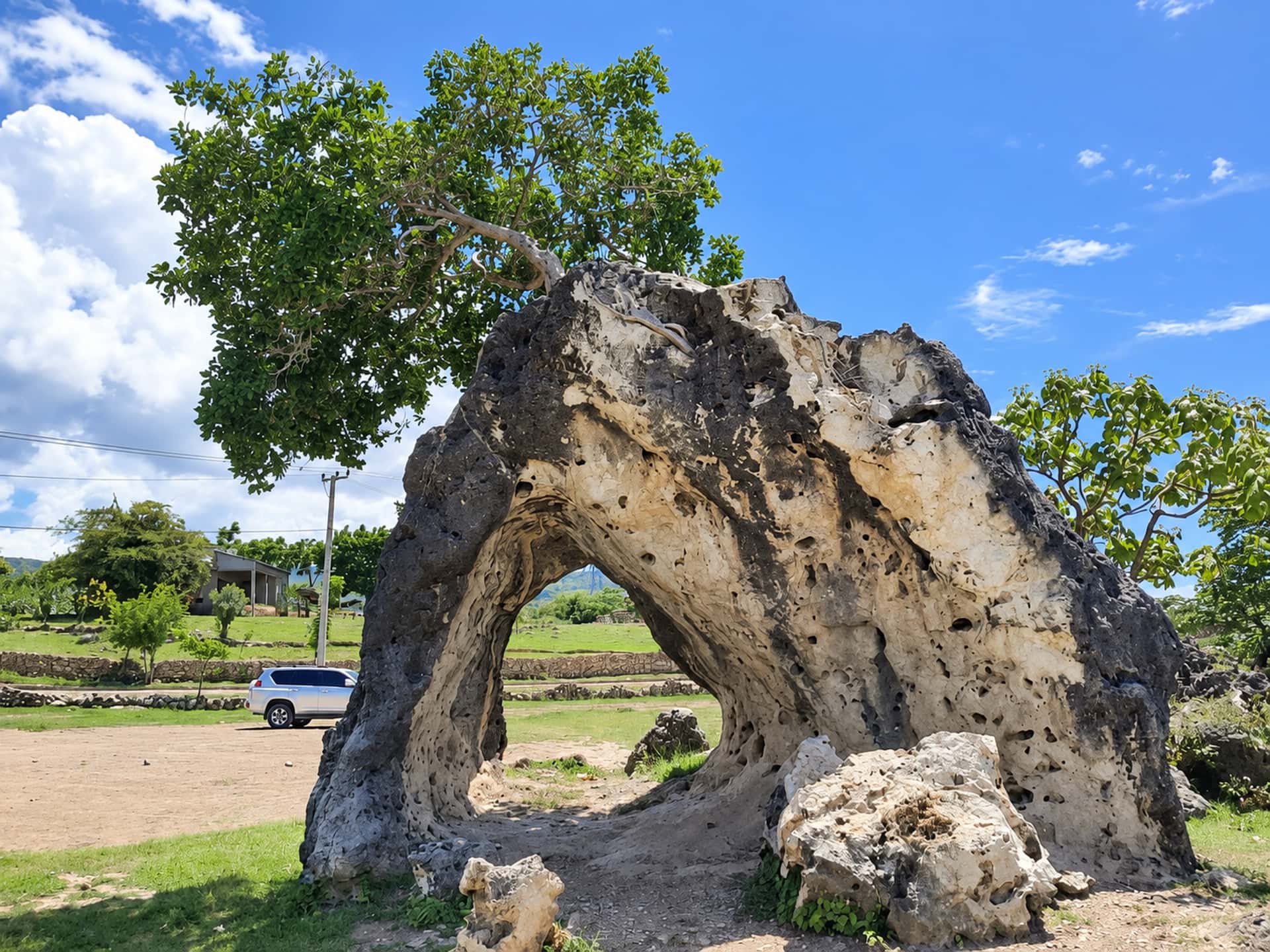 Baucau Day Tour: Mangroves, Springs & the Venilale Caves, photo 2 of 3