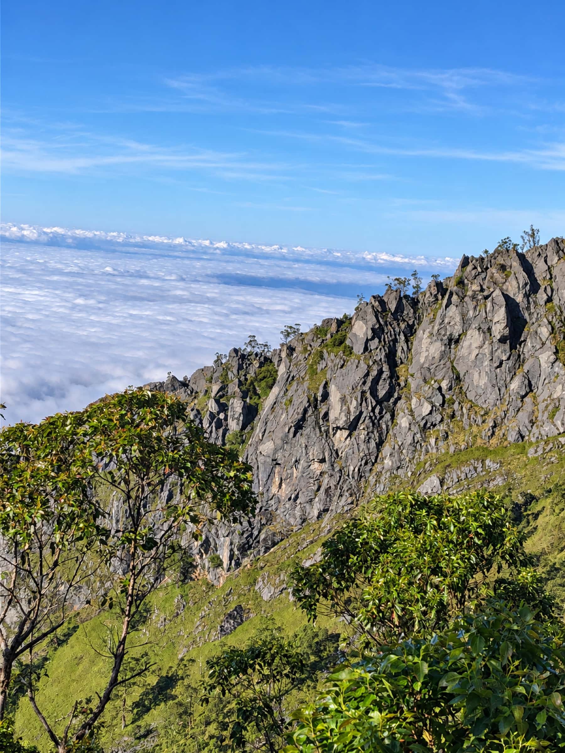 Mount Ramelau Sunrise Trek, photo 5 of 7