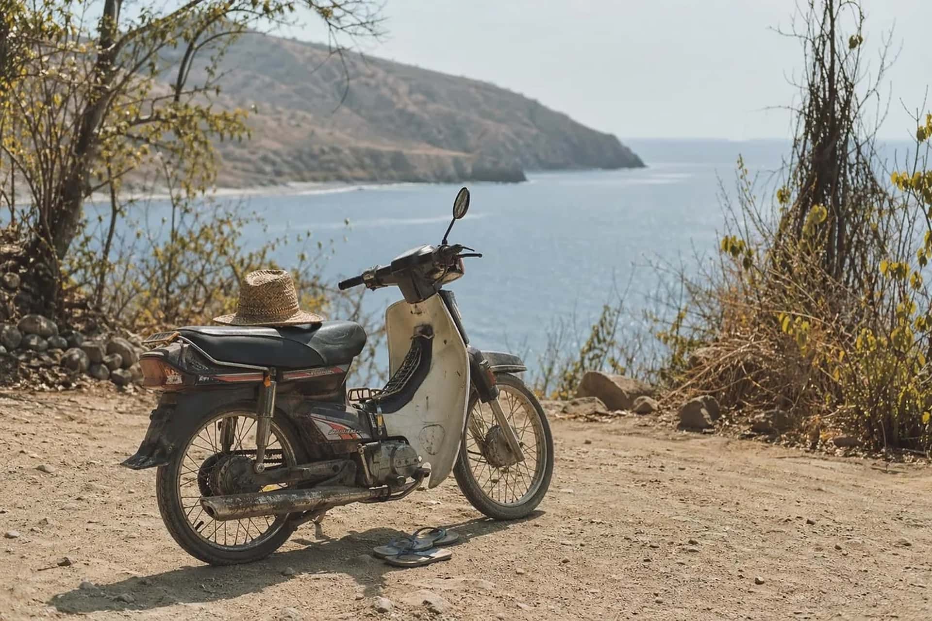 Motorbike & Bicycle Hire (1/2)