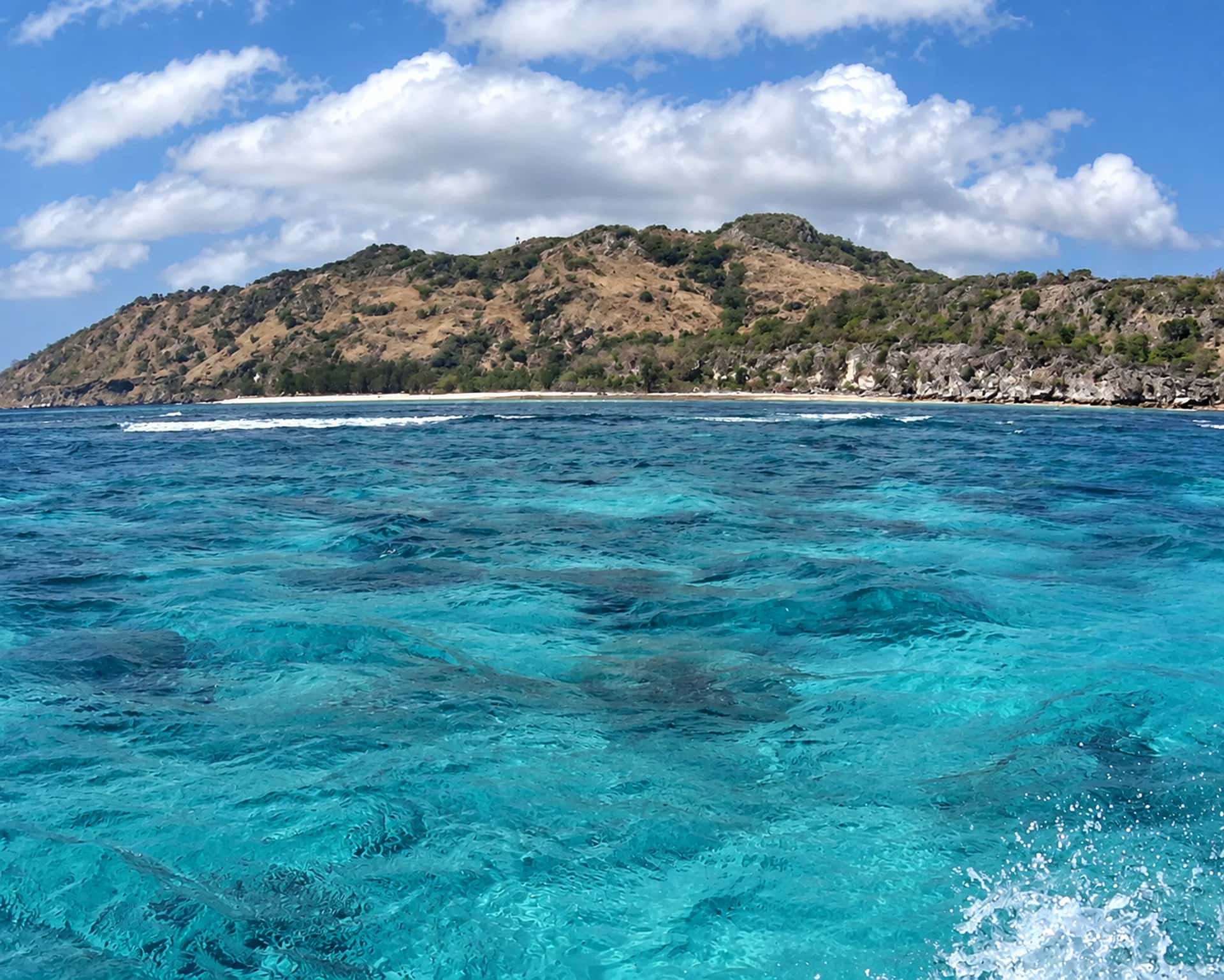 Atauro Snorkel Trip, photo 3 of 3