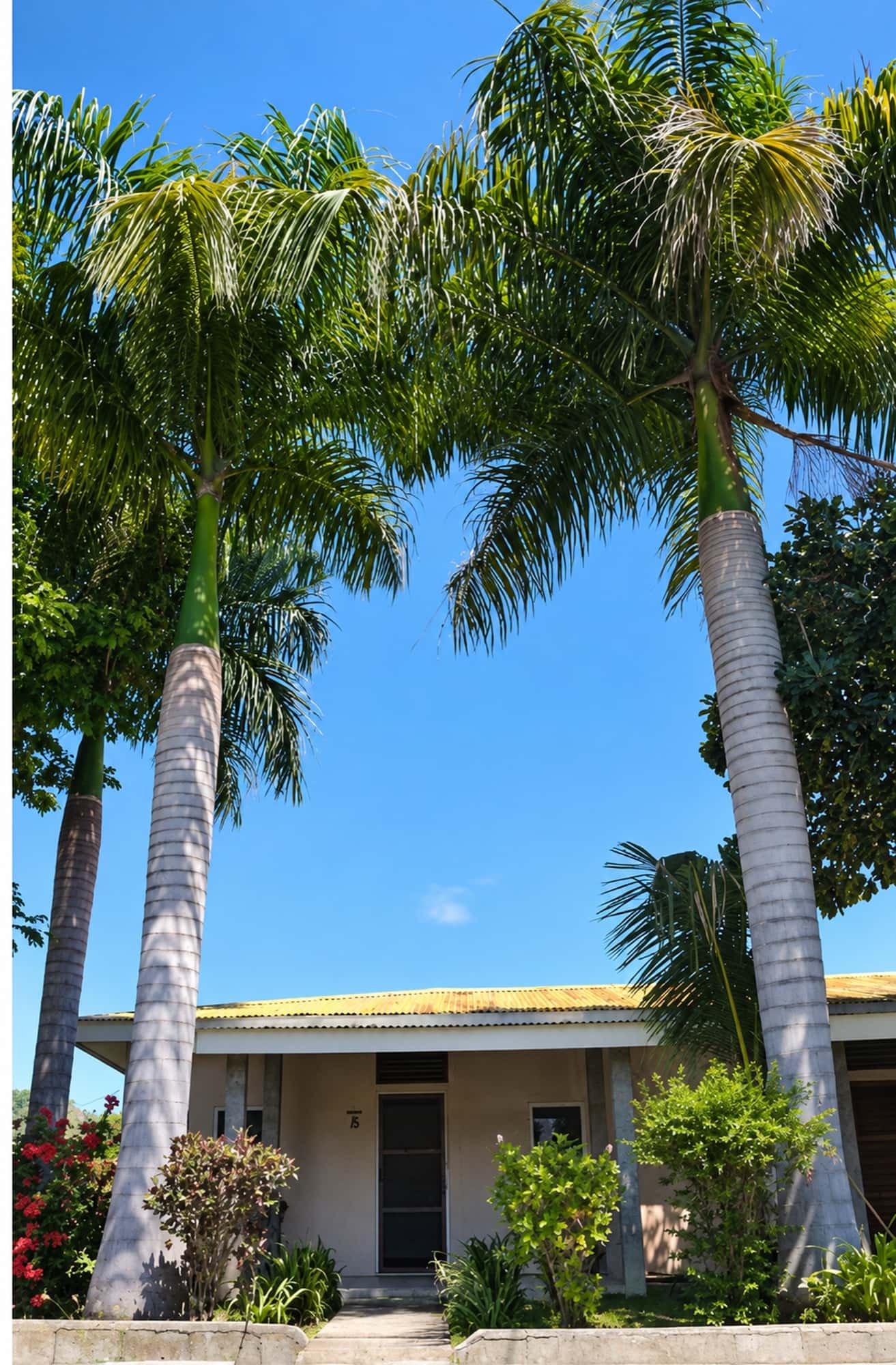 Timor Lodge, 3-star Hotel in Dili, photo 2 of 10