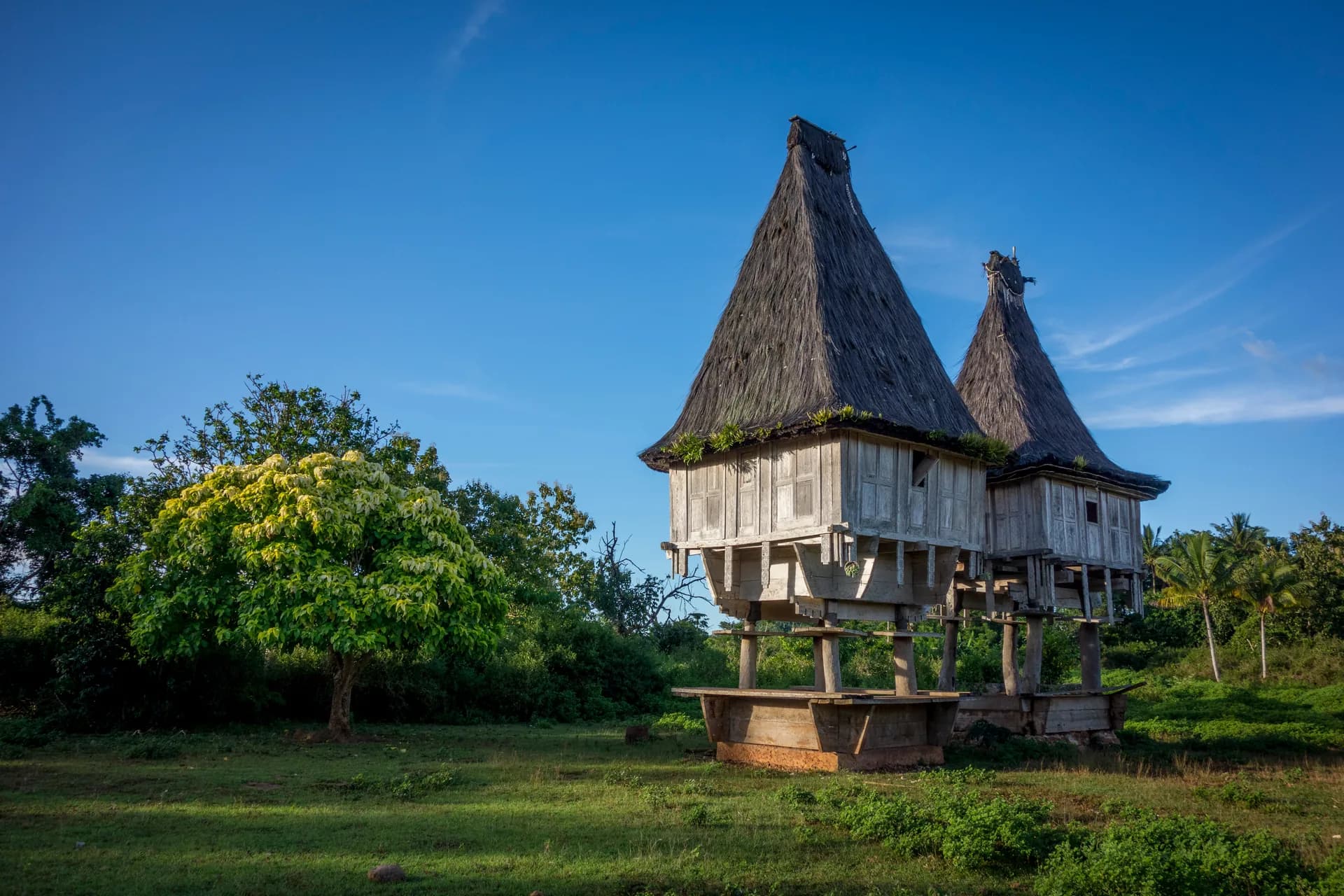 Balibo — Heritage Town on the Western Frontier