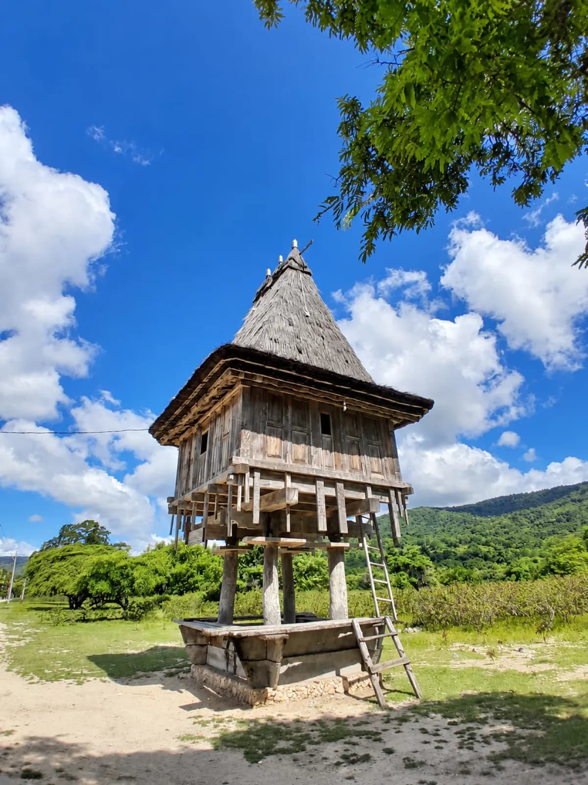 A Fataluku sacred house in the far east