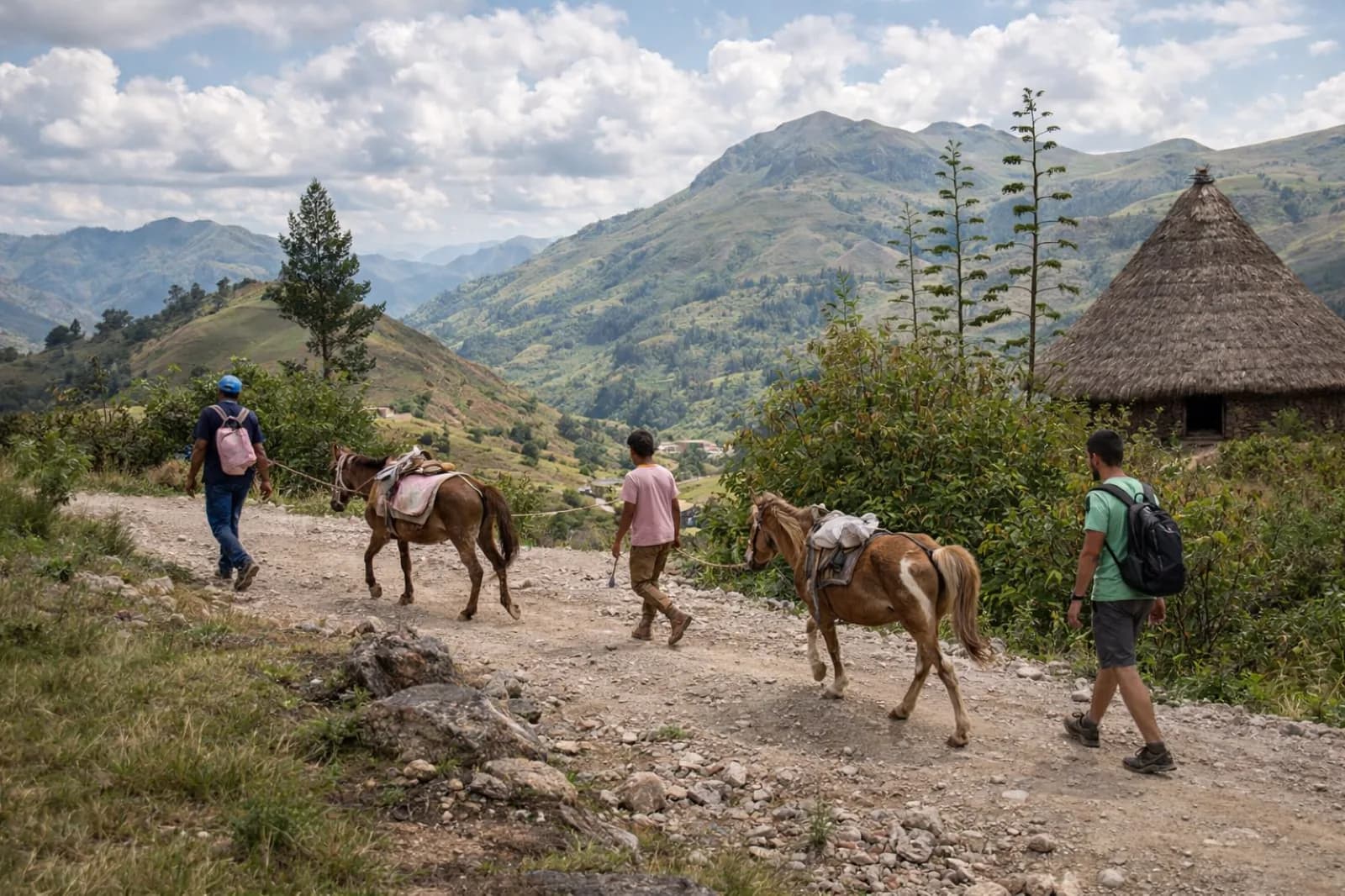 Getting Around Timor-Leste