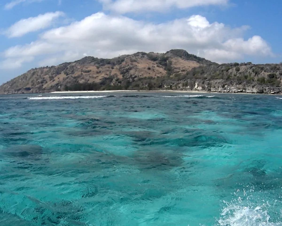 Atauro Snorkel Trip photo 3