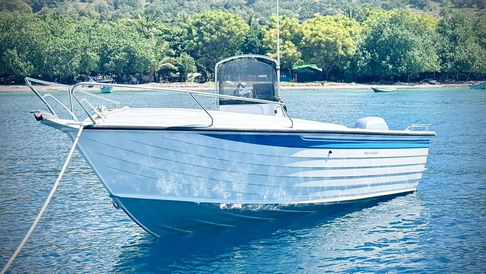 Full-Day Whale Encounter — Baucau — photo 2 of 4