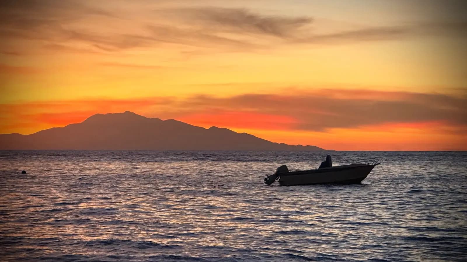 Full-Day Whale Encounter — Baucau — photo 4 of 4