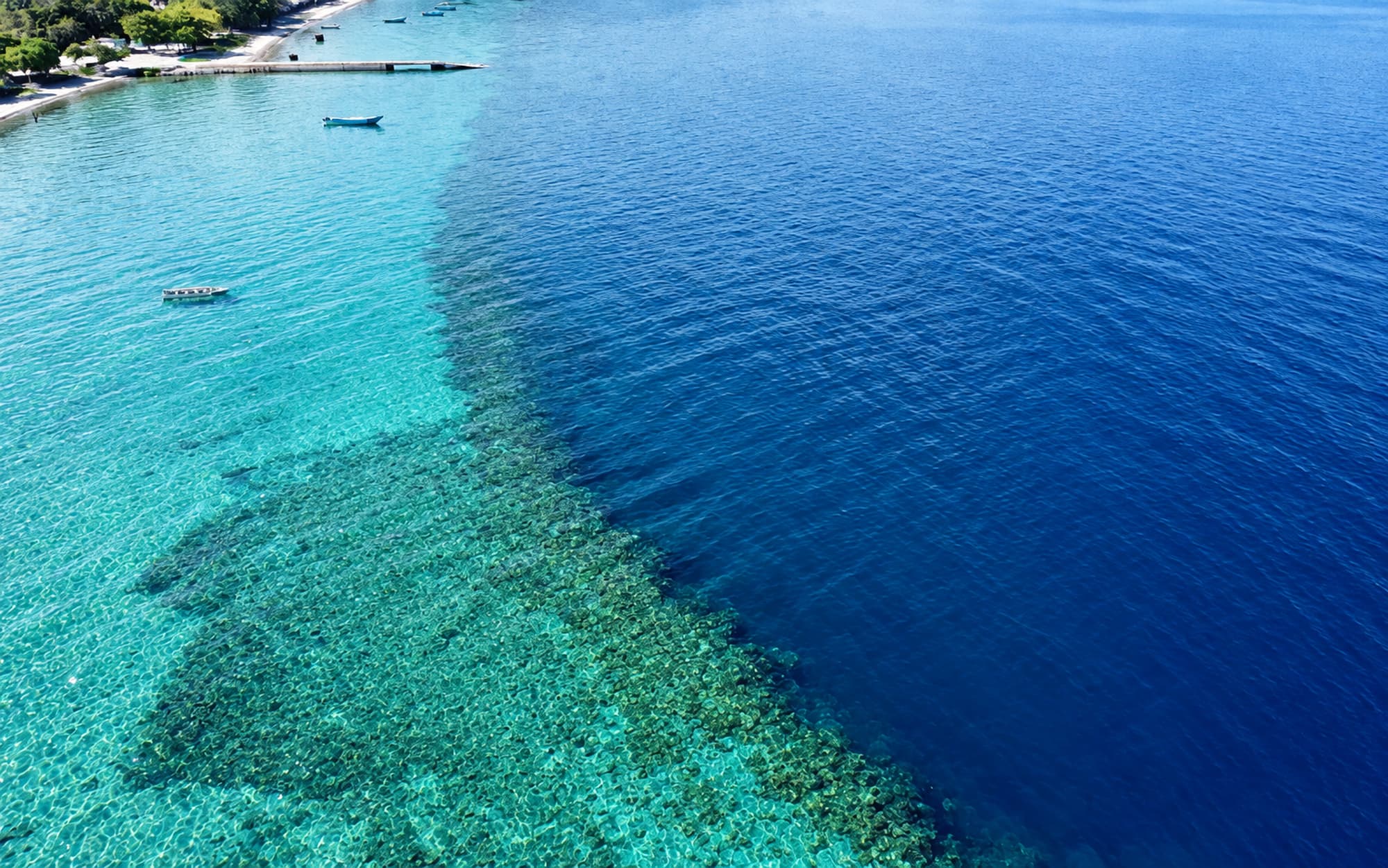 Boat Dive (2-tank morning), photo 2 of 2