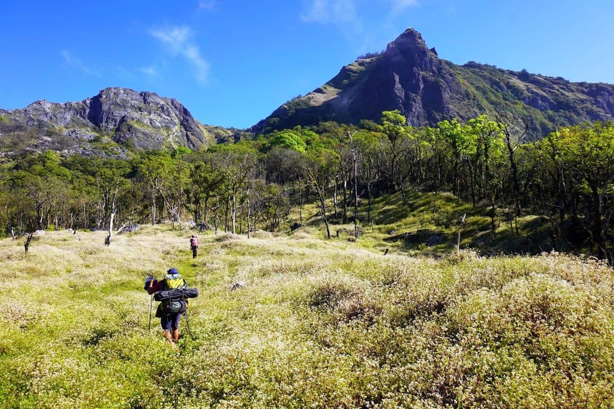 Eco Discovery Timor-Leste, Tour Operator in Dili — photo 4 of 15