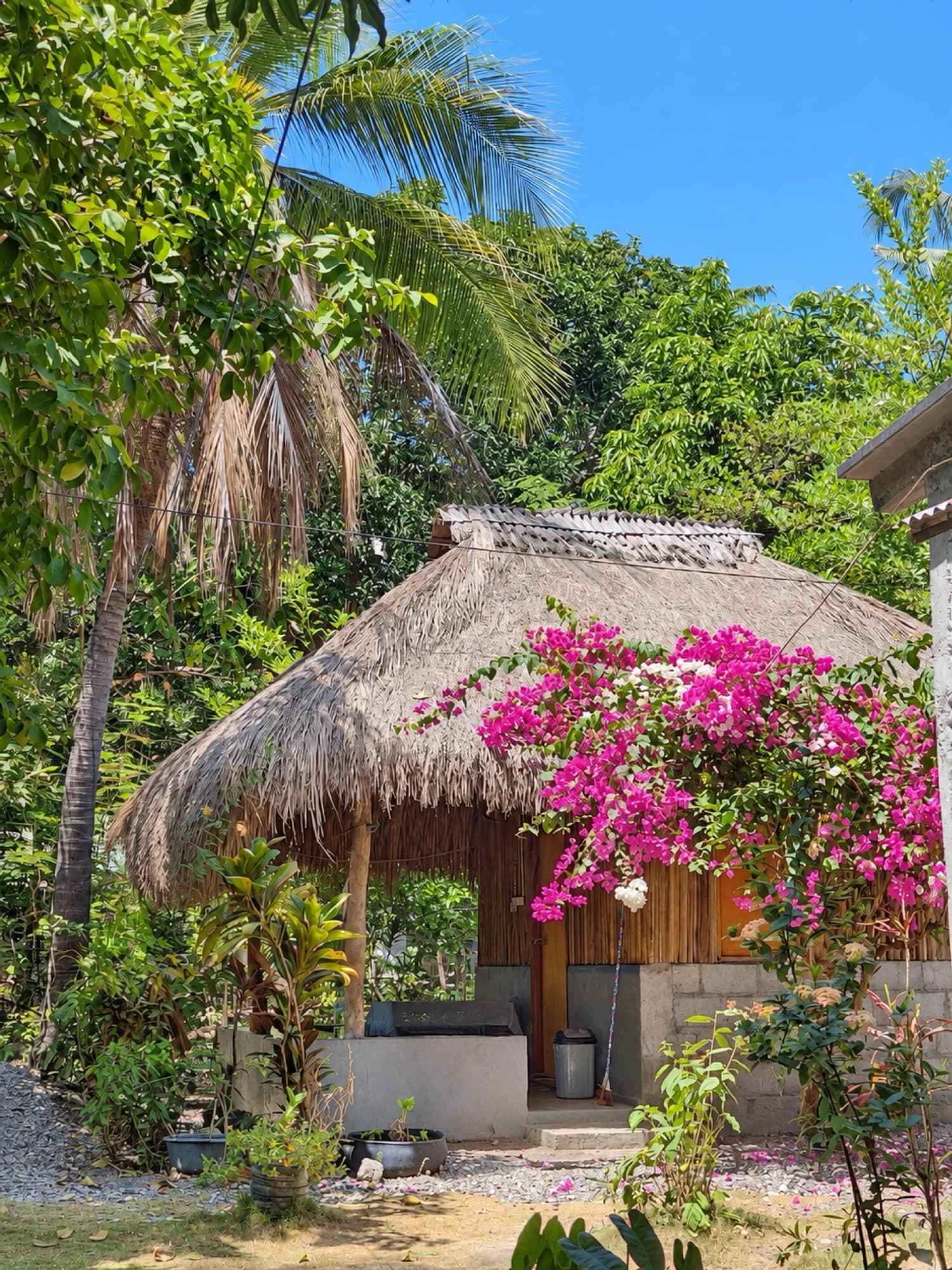 Estevao's Homestay, Homestay in Beloi, Atauro Island — photo 5 of 6