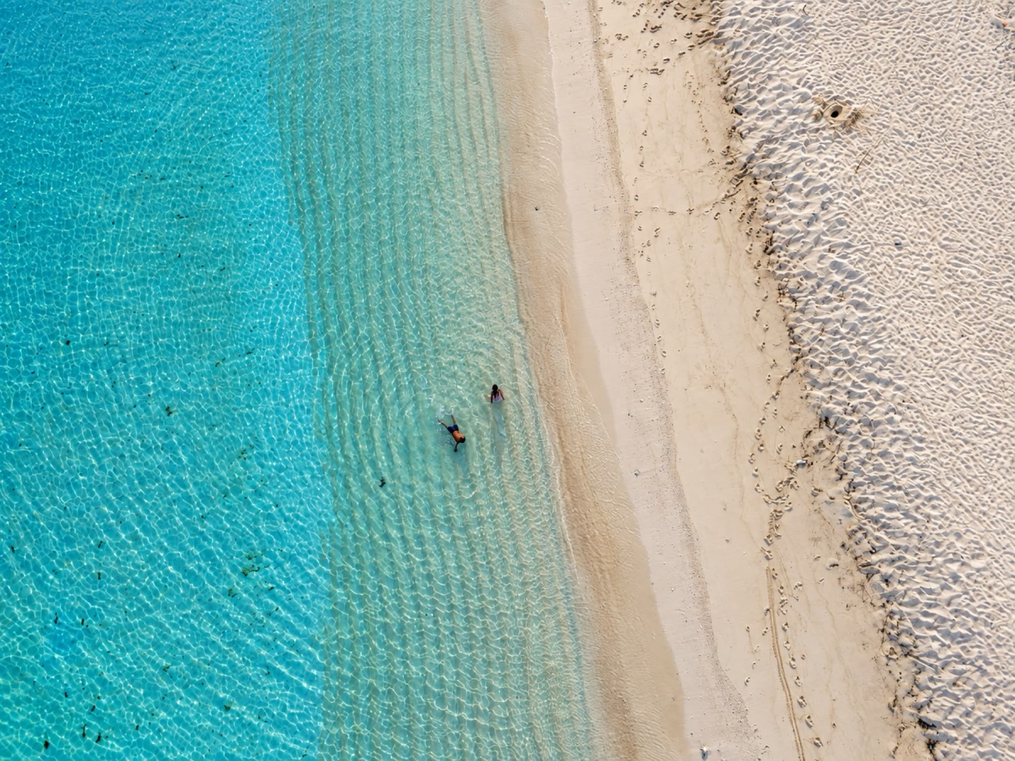 Jaco Island & East Coast