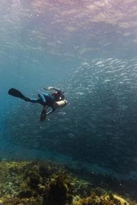 Aquatica Dive Resort — Dive Resort, photo 7