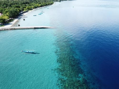 Aquatica Dive Resort — Dive Resort, photo 9