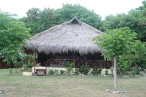Aquatica Dive Resort — Dive Resort, photo 22