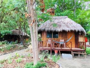 Aquatica Dive Resort — Dive Resort, photo 23