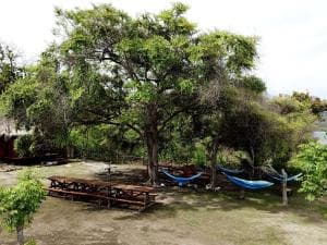 Aquatica Dive Resort — Dive Resort, photo 28