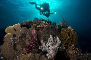 Aquatica Dive Resort — Dive Resort, photo 49