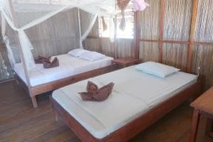 Aquatica Dive Resort — Dive Resort, photo 65