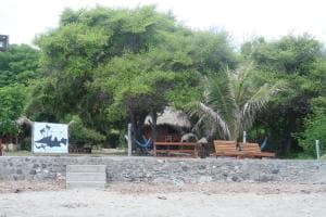 Aquatica Dive Resort — Dive Resort, photo 71