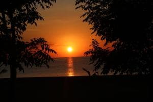 Aquatica Dive Resort — Dive Resort, photo 72