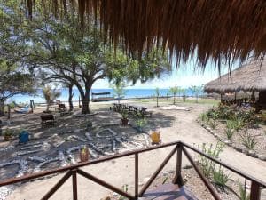 Aquatica Dive Resort — Dive Resort, photo 79