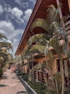 Arbiru Beach Resort timber-balcony villas behind tropical palms
