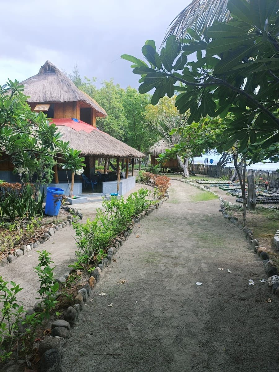 Barry's Place Eco-Lodge, Eco-Lodge in Atauro Island — photo 2 of 10