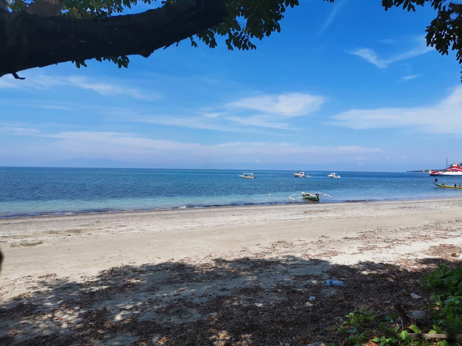 Barry's Place Eco-Lodge, Eco-Lodge in Atauro Island — photo 8 of 10