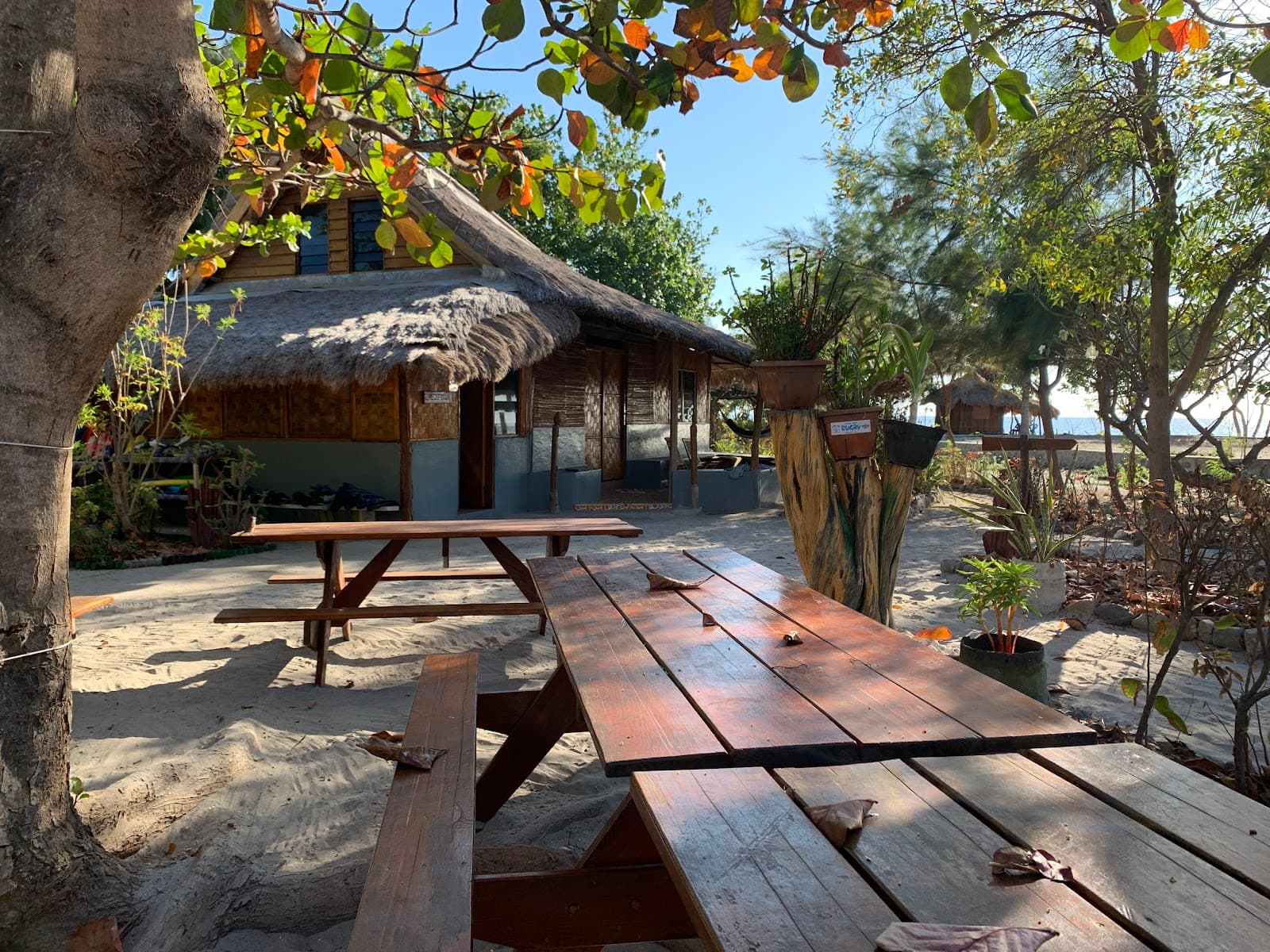 Barry's Place Eco-Lodge, Eco-Lodge in Atauro Island — photo 7 of 10