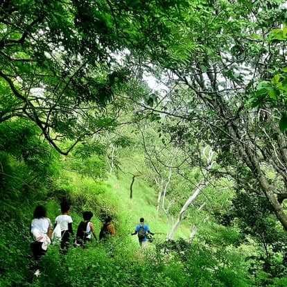 Eco Discovery Timor-Leste — Discovery Fb, photo 5