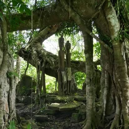 Eco Discovery Timor-Leste — Discovery Fb, photo 10