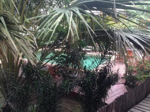 Hotel Esplanada pool glimpsed through palm fronds and tropical foliage