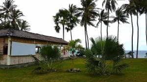 Lauhata Beach Escape oceanfront pavilion with tall coconut palms