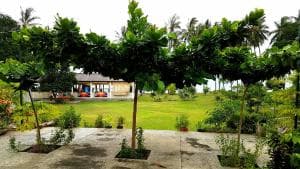 Lauhata Beach Escape grassy lawn lined with potted plants and trees