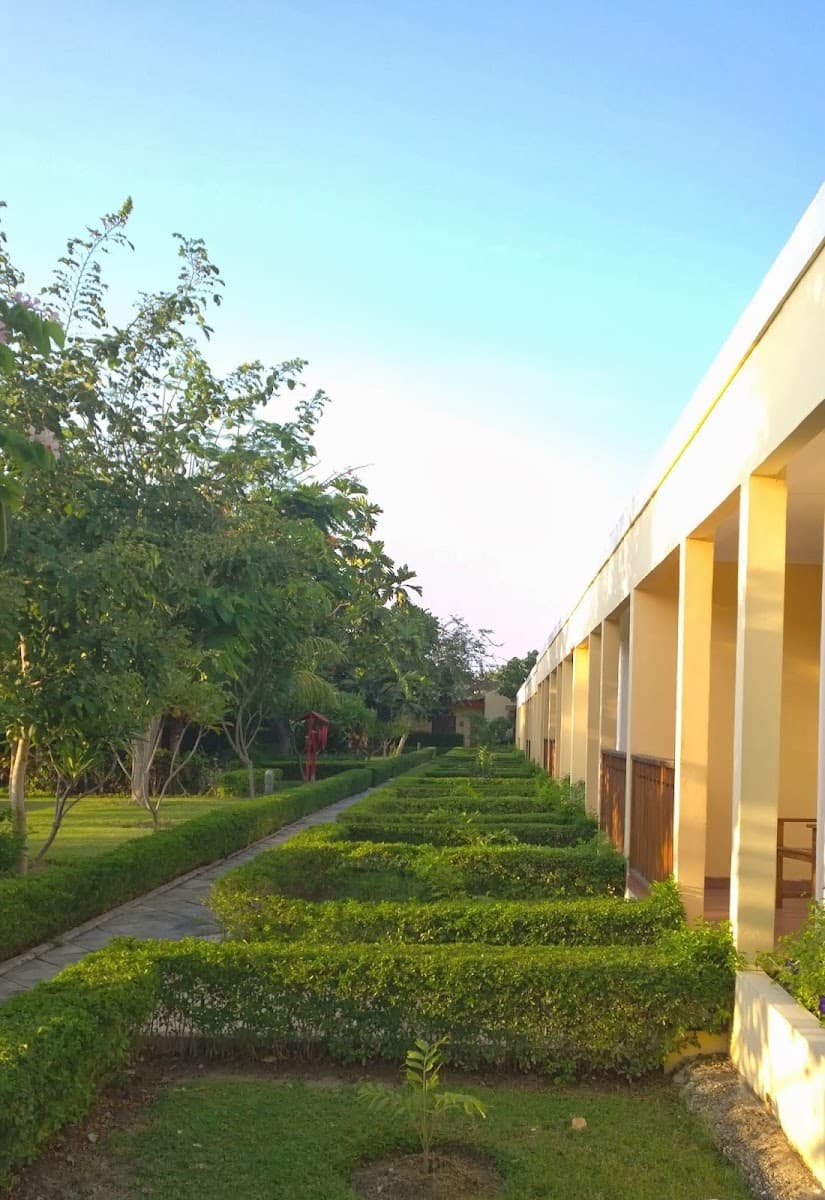 Palm Malinamoc, 4-star Hotel in Dili — photo 6 of 10