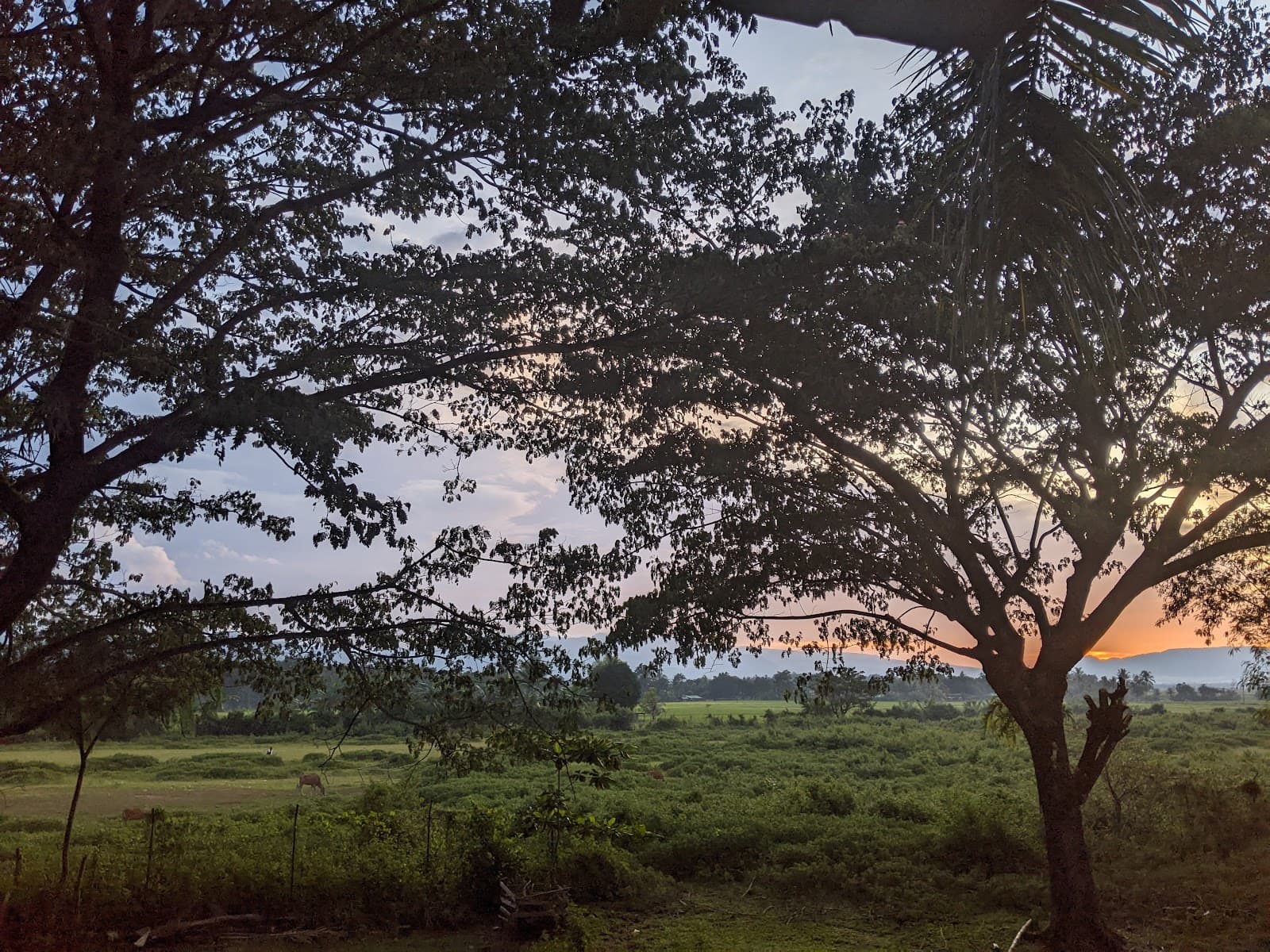 Uma Duut, Guesthouse in Maliana — photo 3 of 3