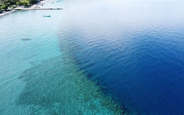 Boat Dive (2-tank morning) photo 2