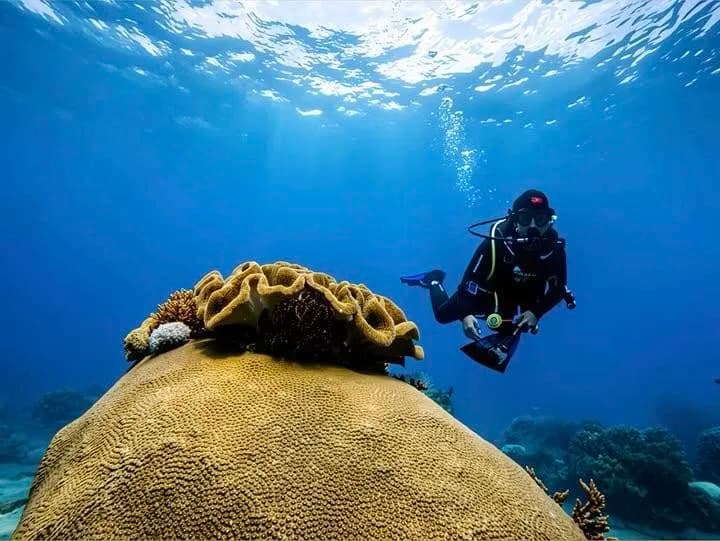Discover Scuba Diving