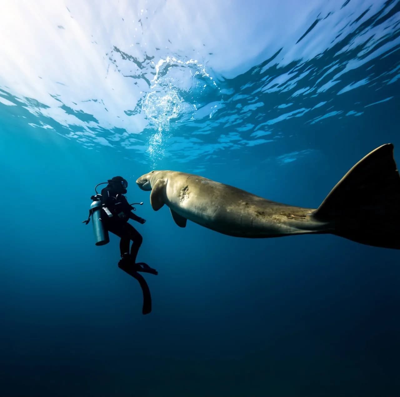 Discover Scuba Diving photo 2