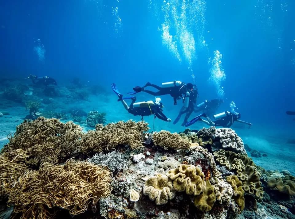 SDI Divemaster photo 2