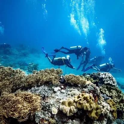 SDI Open Water Diver Course photo 2