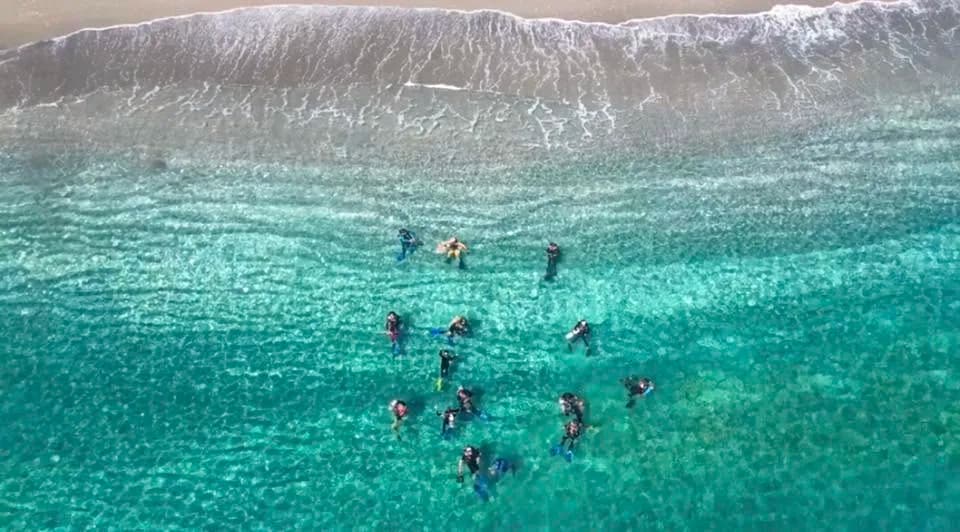 Refresher / Inactive Diver Program photo 2