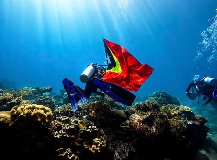 Refresher / Inactive Diver Program