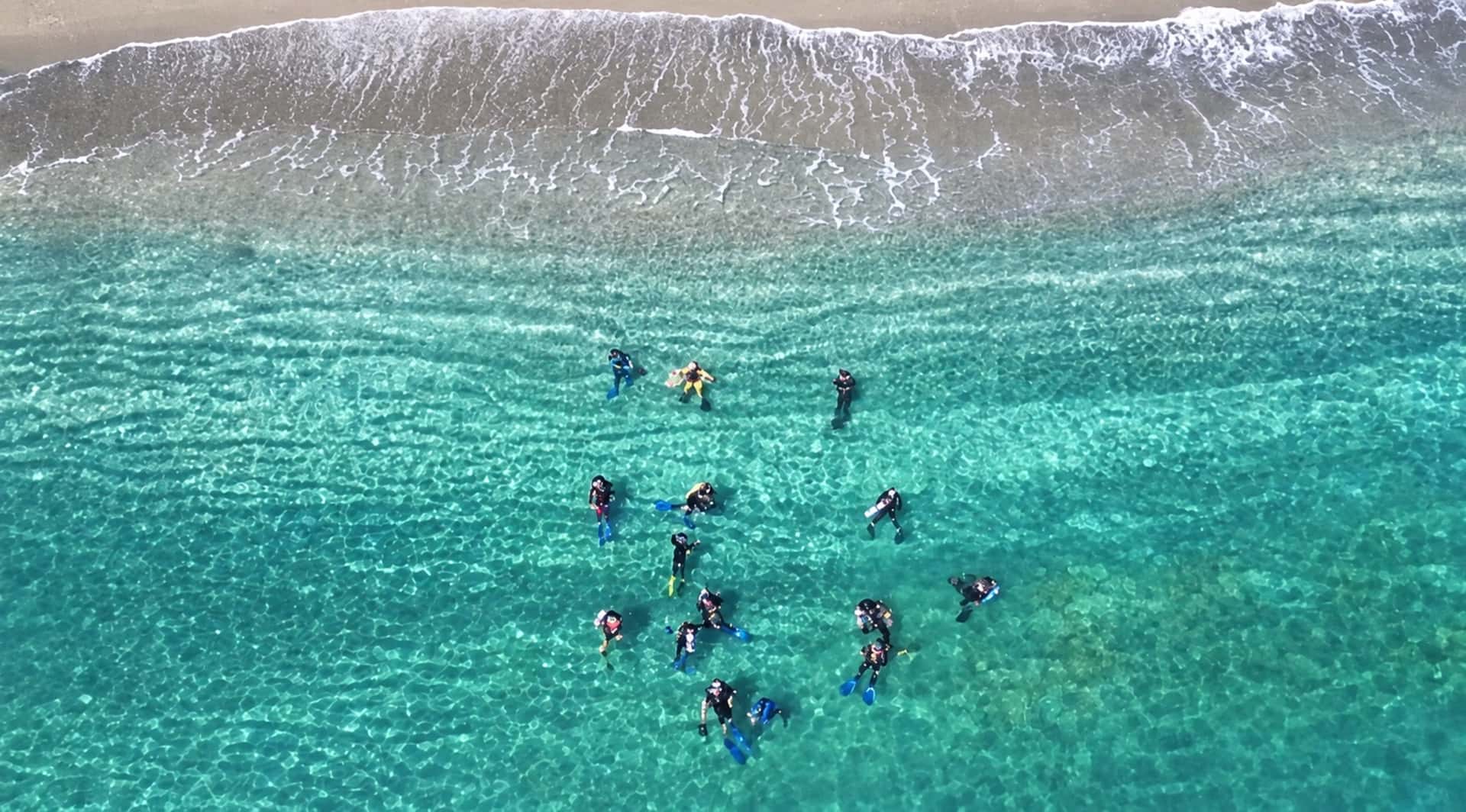 SDI Open Water Diver Course (1/3)