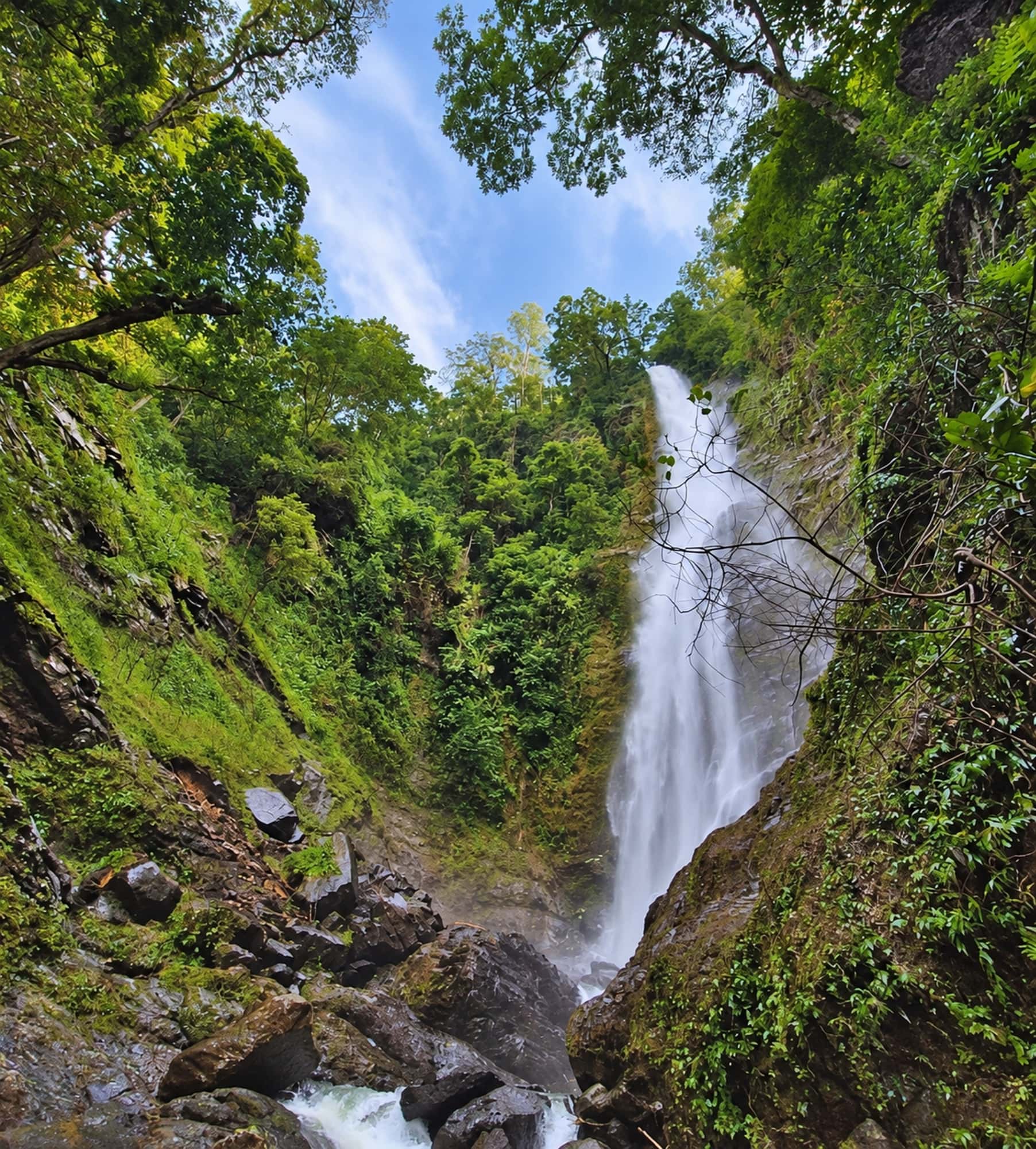 Highlands & Dokomali Waterfall Day Tour (1/5)