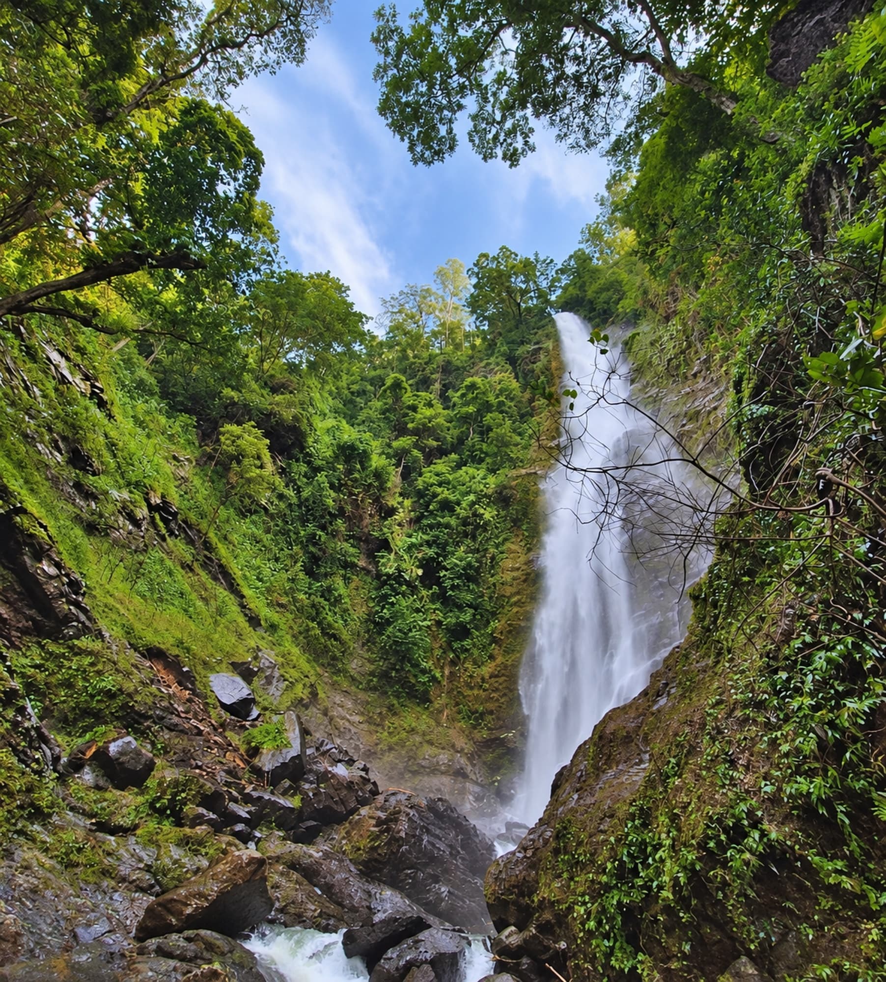 Highlands & Dokomali Waterfall Day Tour (1/5)