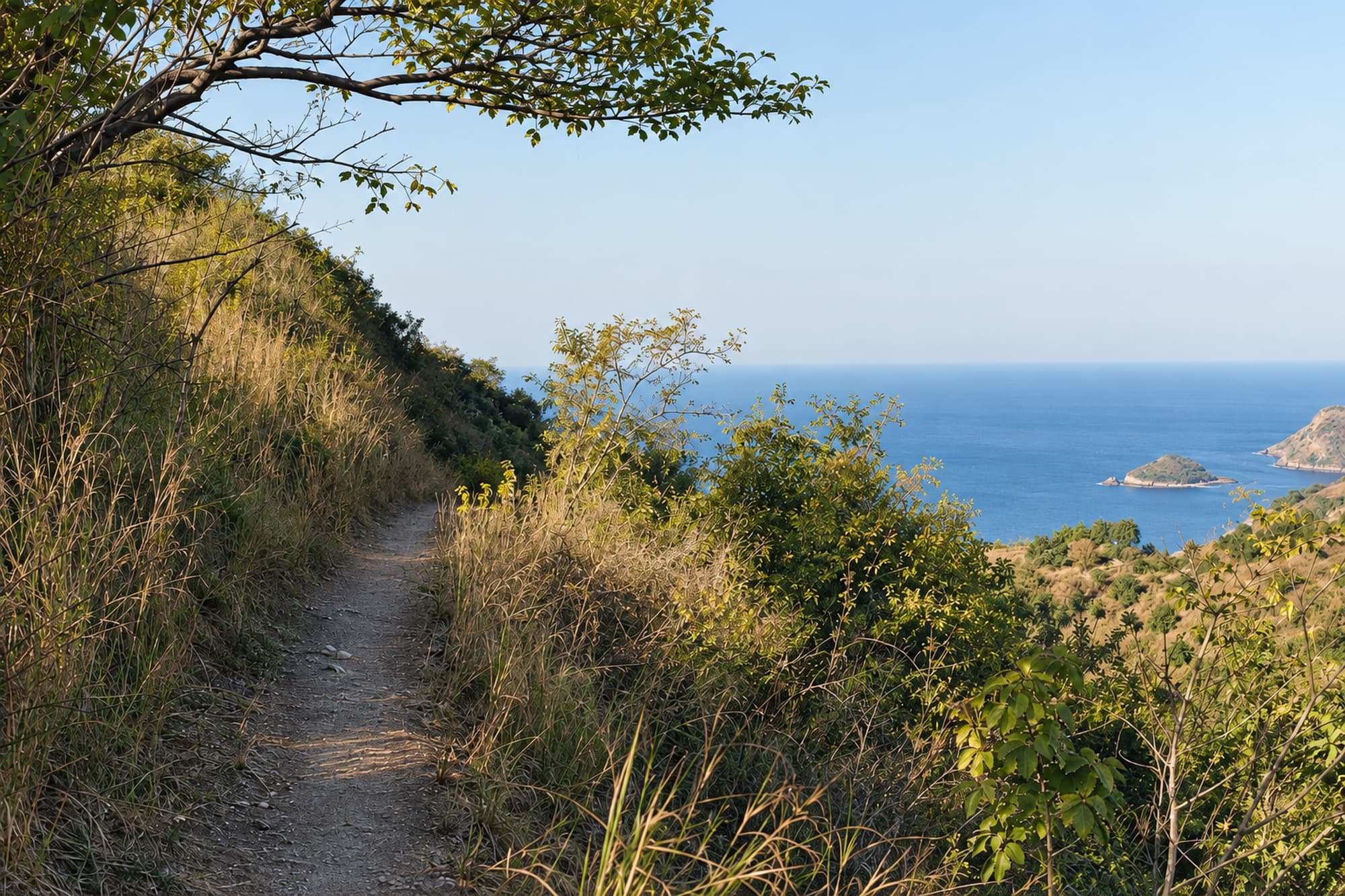 Mount Manucoco & Ridge Hike (1/2)