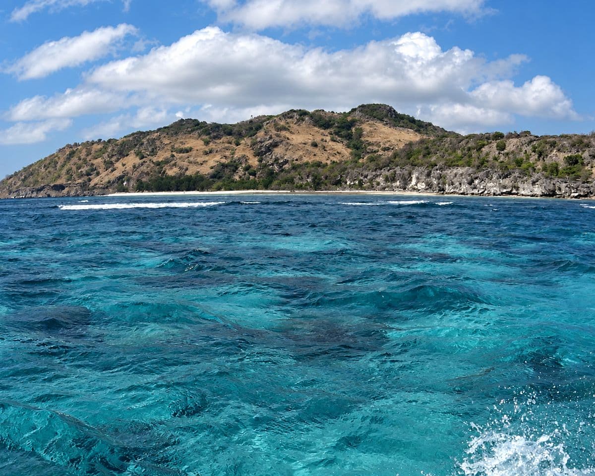 Mysaffy Atauro Island Adventures